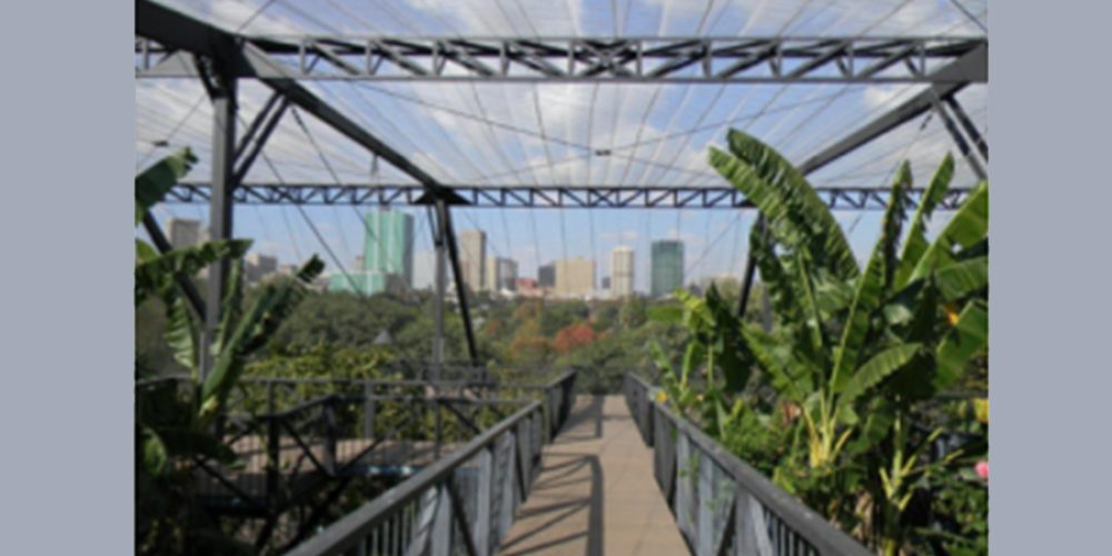 Urban Political Ecology in African Cities Workshop [Pre-notice]