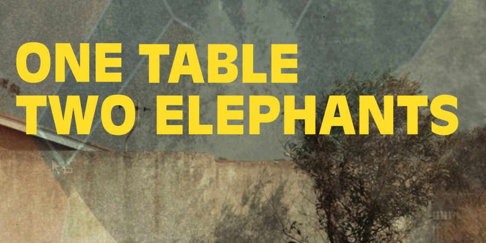 Screening “One Table Two Elephants” film at ACC International Urban Conference in Cape Town