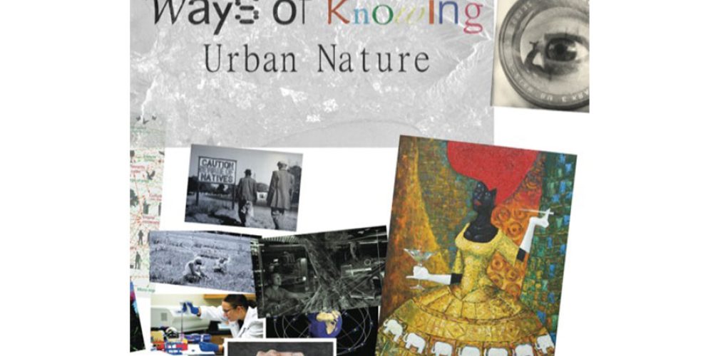 An environmental film project in Cape Town: “Ways of Knowing Urban Nature – The Film”